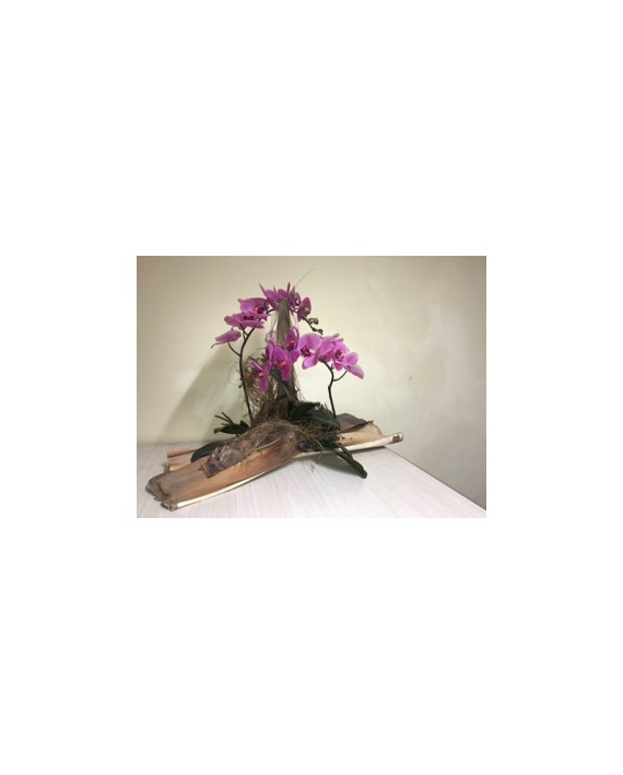 Orchidee in lattice con legni e foglie naturali