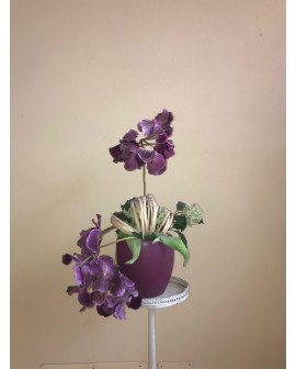 Orchidee e Ortensie verdi
