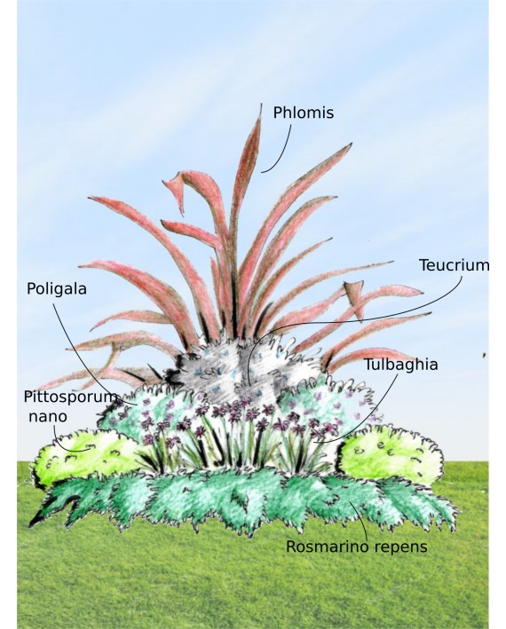 Set piante per aiola a fioritura primaverile
