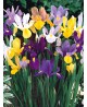 Iris mix