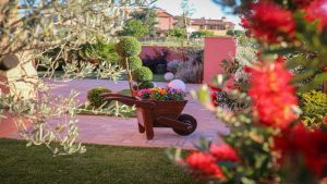 Giardini | Vivaio a Pisa | Oasi del Verde