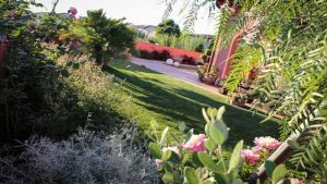 Giardini | Vivaio a Pisa | Oasi del Verde