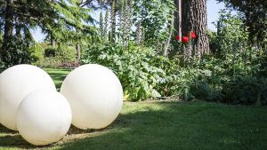 Giardini | Vivaio a Pisa | Oasi del Verde