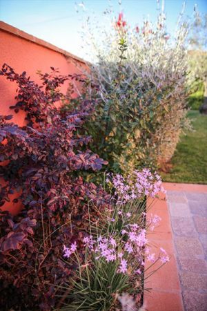 Giardini | Vivaio a Pisa | Oasi del Verde