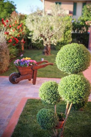 Giardini | Vivaio a Pisa | Oasi del Verde